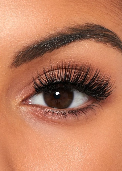 کاشت مژه سنجابی